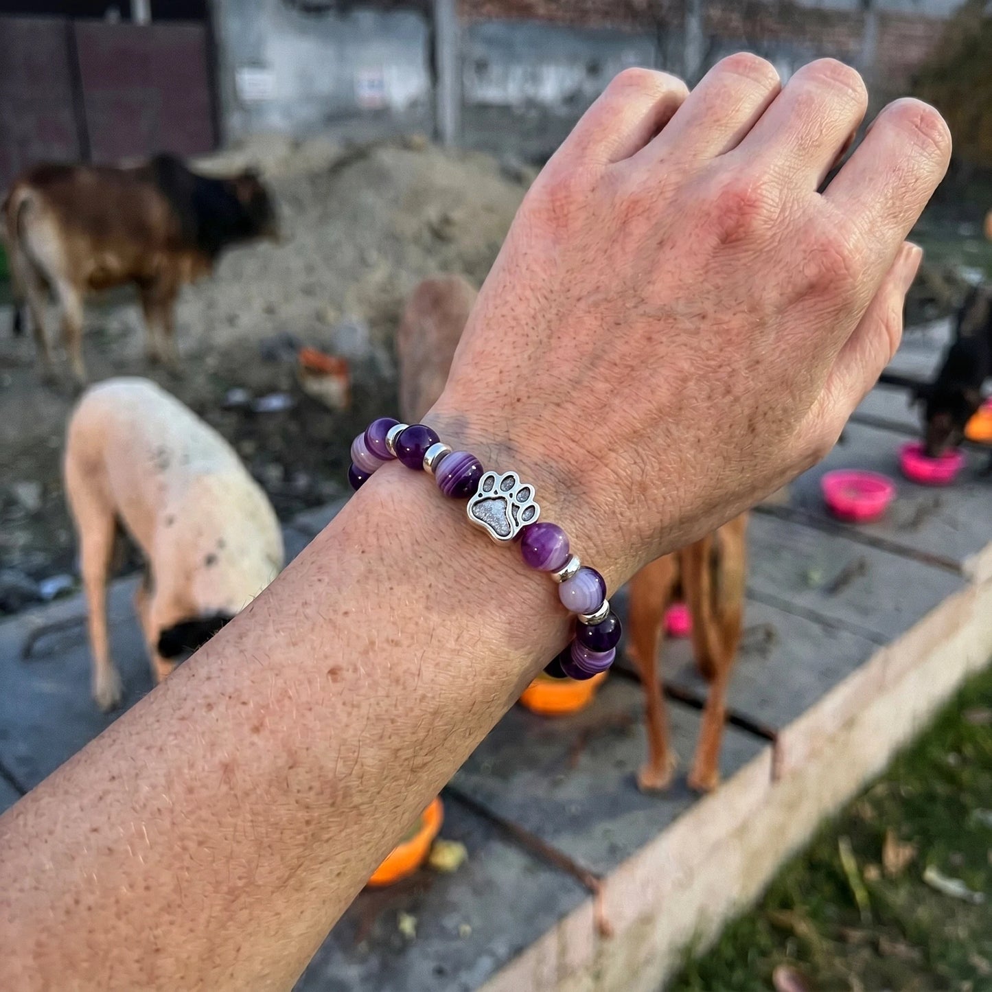 Dusk Bracelet – Limited Edition 2024