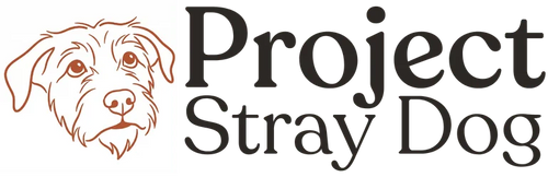Project Stray Dog